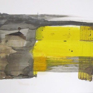 50x60 pigments huile